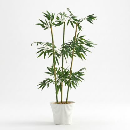 A studio shot against a solid white background showing four realistic artificial bamboo stalks featuring detailed dark green, lance-shaped indoor bamboo plant leaves with white background .