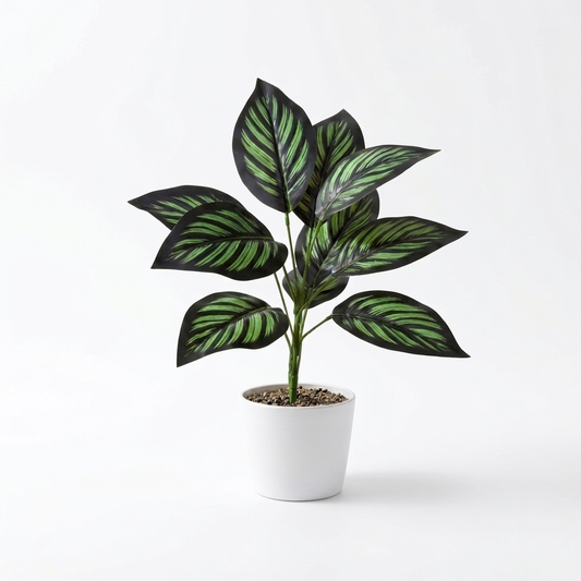 High-quality 8k professional macro photograph of a 30cm artificial Pinstripe Calathea plant featuring 9 dark green leaves with vibrant bright green stripes, isolated on a solid white background.