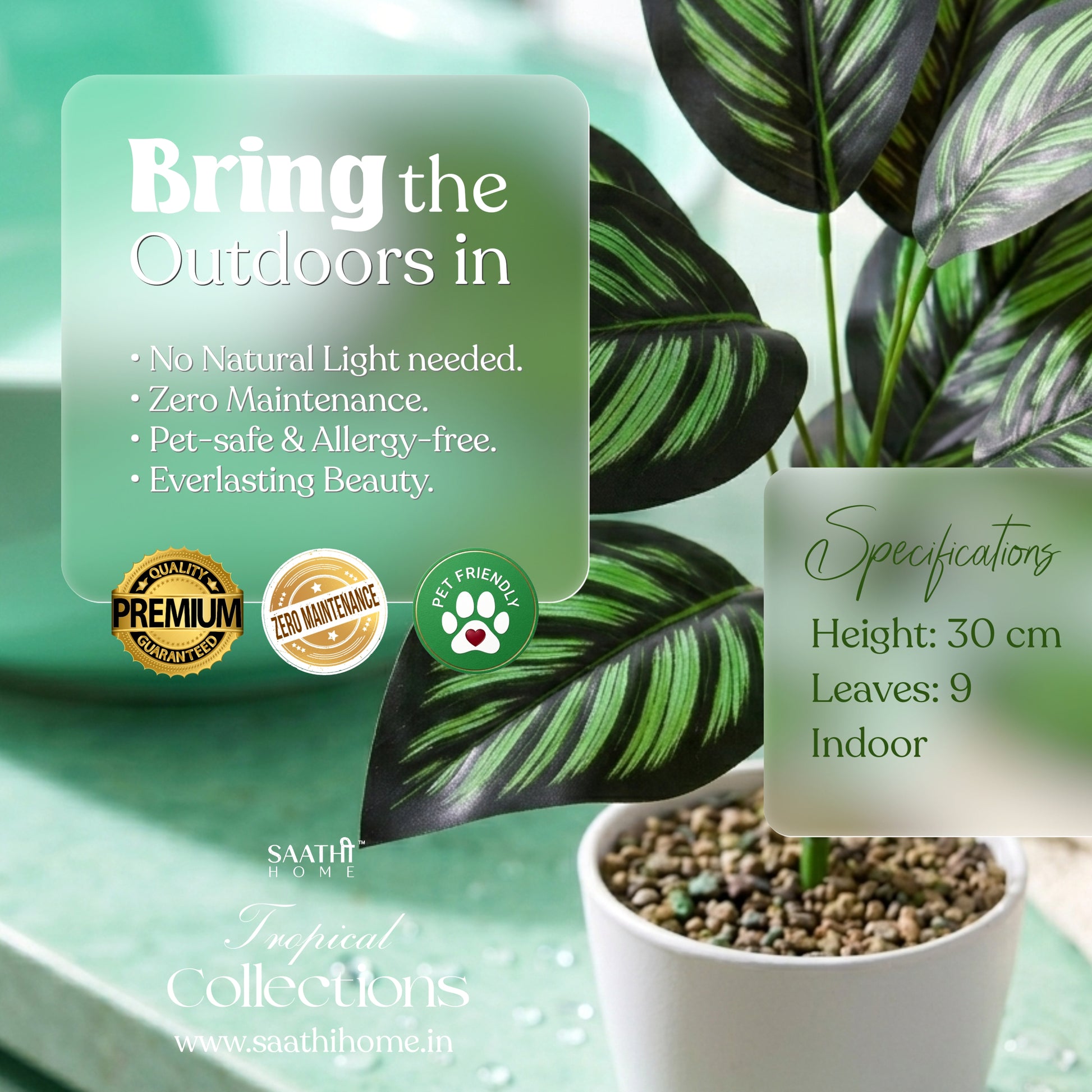 High-quality 8k professional macro photograph of a 30cm artificial Pinstripe Calathea plant featuring 9 dark green leaves with vibrant bright green stripes, isolated on a solid white background.