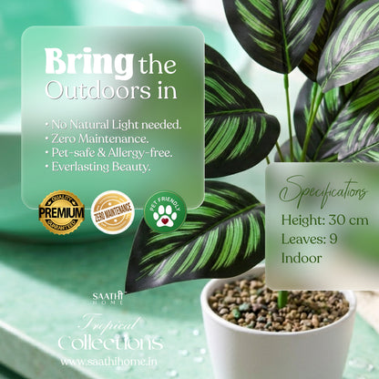 High-quality 8k professional macro photograph of a 30cm artificial Pinstripe Calathea plant featuring 9 dark green leaves with vibrant bright green stripes, isolated on a solid white background.